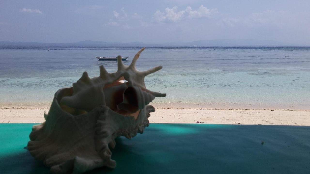 Shirley'S Cottage - Pamilacan Island Baclayon Εξωτερικό φωτογραφία